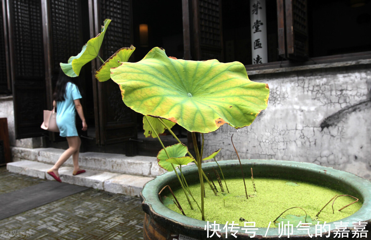 文学作品$唐伯虎最为人熟知的作品,是套春图