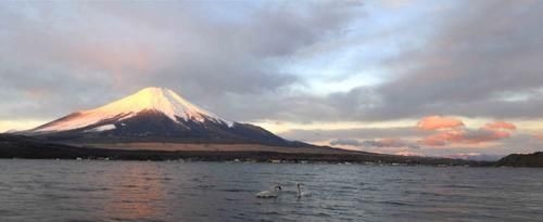 海产品|这个国家的女人很少得妇科病,原来是有个几个好习惯“护体”!