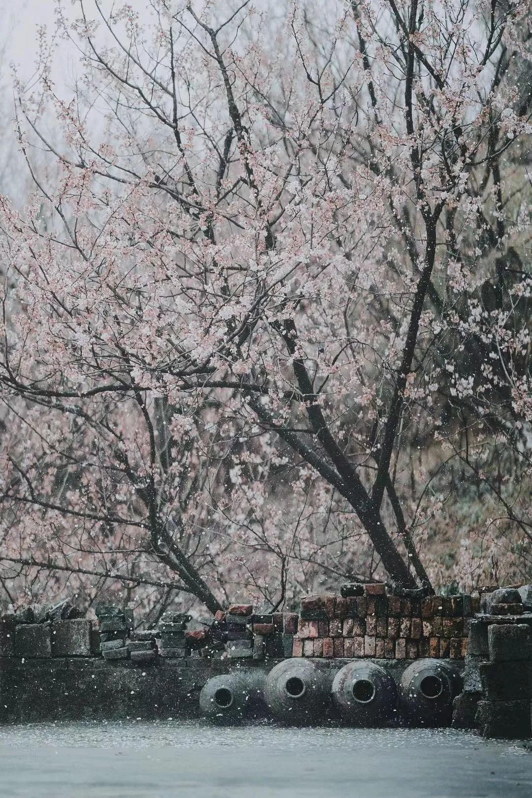 天青色等烟雨，宁波美到你！