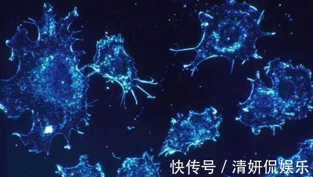 肿瘤|肿瘤院长患癌后,说了5句大实话!该不该化疗,我明白了