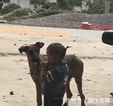 走不动|妹子,你脸圆嘟嘟的真可爱,后面大叔瞅半天啦,都走不动道了