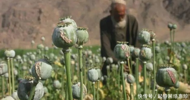 花臂帅和尚 正面杠毒贩27年 只为给孩子撑起一片天堂 快资讯