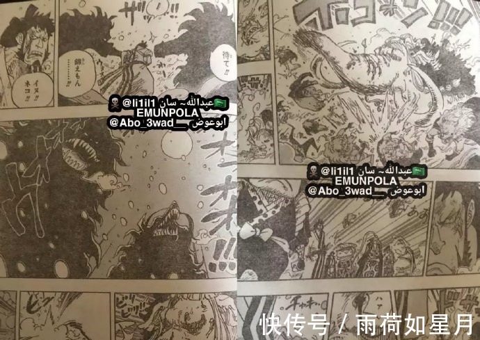 德雷克|海贼王990话,猫蝮蛇和犬岚变身对战杰克,杰克可能第一个战死