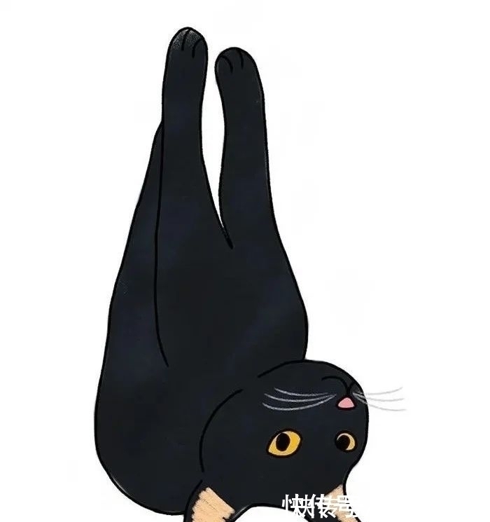 插画$插画家画了几只猫,被网友吐槽瞎画,放上原照后,人们直接无语