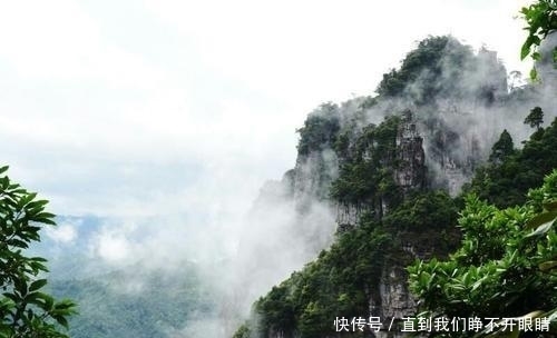画卷|古树参天、掩天遮日、曲径幽远,一幅绚丽多彩的画卷