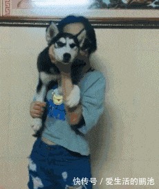 |搞笑GIF:妹子,你是个有才华的人,就是太贪玩了!