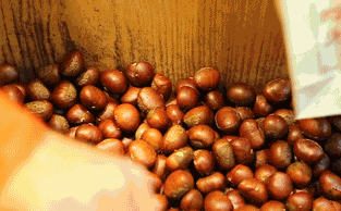 才知道,板栗去壳1个瓶盖就能搞定,又快又完整,方法太好用了