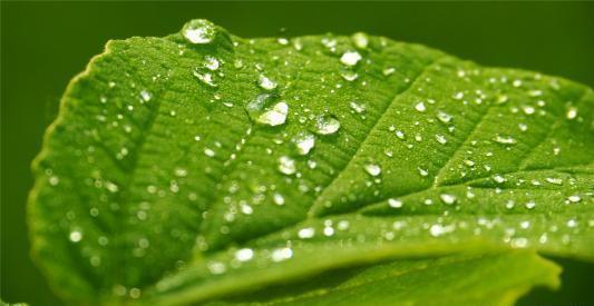 明哲保身&越是深藏不露的人,往往懂得这三条天规,懂一个,就很好!