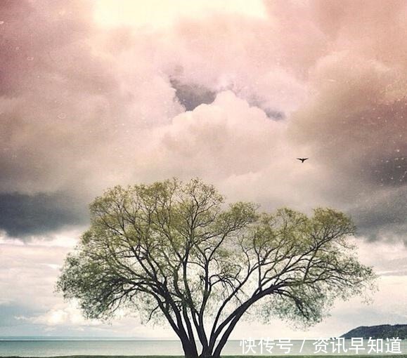 收藏|为人处世的智慧语录,句句受用,值得收藏一生!