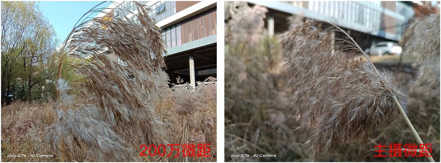 配色|轻薄机身 + 独特配色，vivo S7e 体验