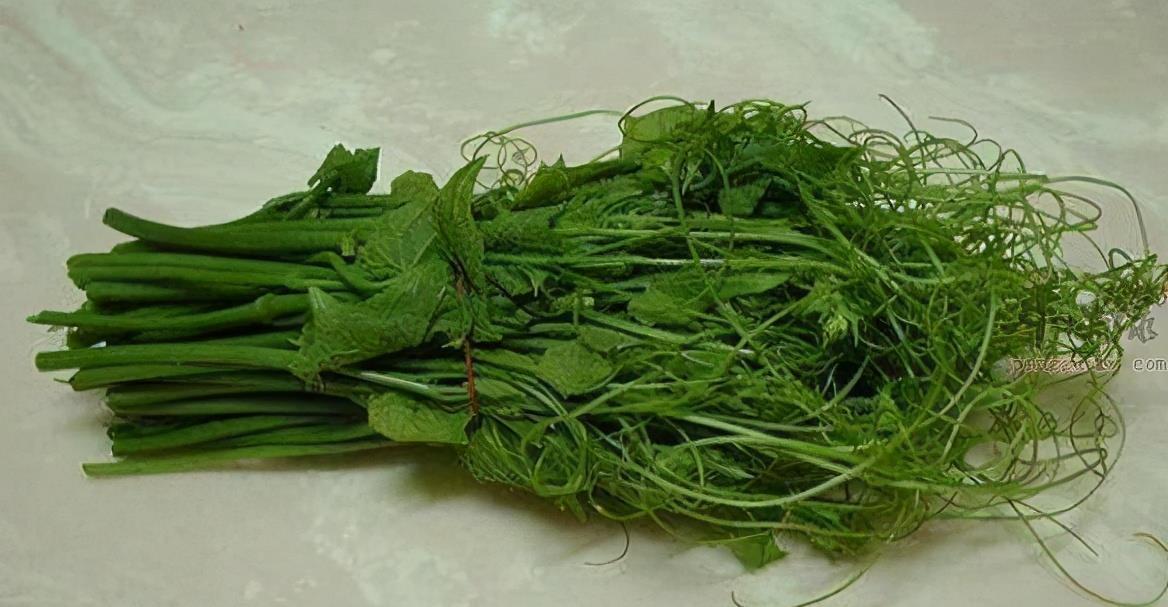 健康长寿|女性不想满脸皱纹，可以吃3种食物，减少皱纹，身体棒棒哒！