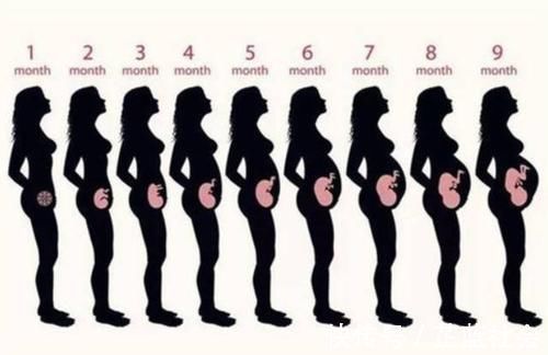 宝宝|孕妈一般在什么时候开始“显怀”?若显怀过早,可能是这几个原因