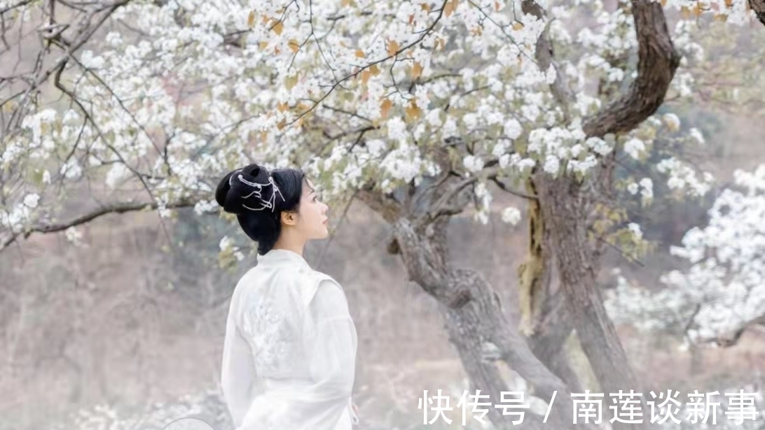 虬枝#七律:谁道衰龄无妙色,东风一夜又迷春