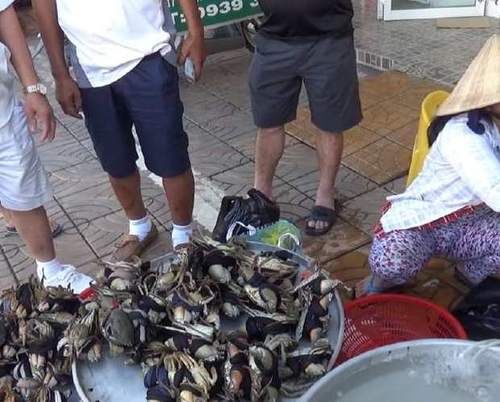  这个小摊子旁停满了车，我好奇走近看看，忍不住买了10斤！