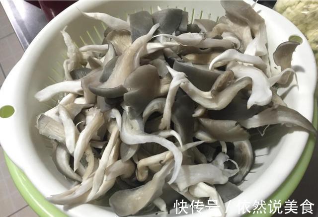 平菇这么做,拿小鱼干我都是不换的!隔壁小孩都“馋哭”了