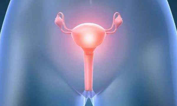 夫妻双方有这5个特征,或许更容易备孕成功,你占了几条