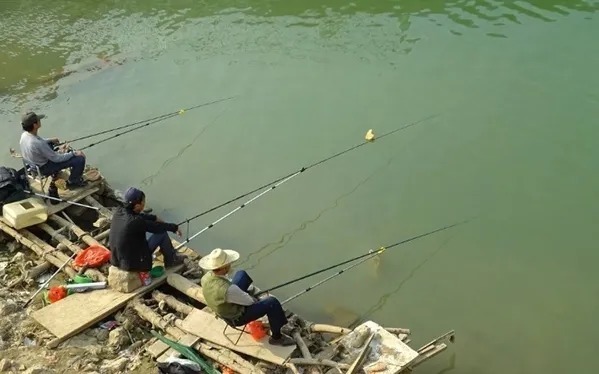 垂钓大鲫鱼试试这2大“秘诀”，秋季狂拉大板鲫，真过瘾！