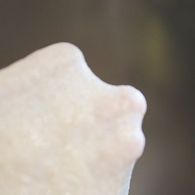 巧克力|全麦橙皮巧克力软欧包