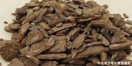 兰花|兰花总是烂根叶黄土里加1样东西,让兰花根壮叶绿