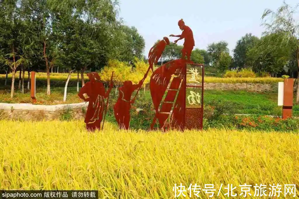 京西稻|秋游首站!北京“小镰仓”漫画电车站,车票仅3元!