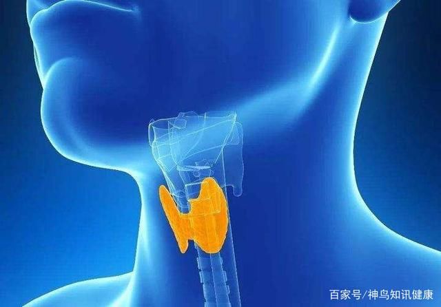 结节|体检查出来甲状腺结节，到底要不要切除？医生：取决于这三点