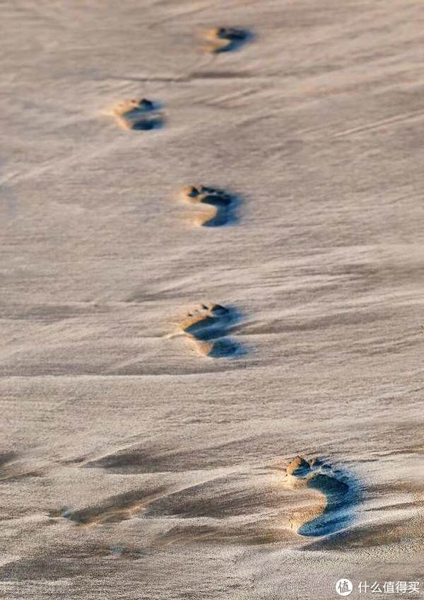 埃米丽亚|读意大利的“鲁迅”代表作,平淡的婚姻更需要坦诚的信任来维系