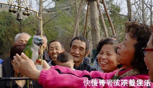 消化系统|若你有这4个特征,多半是“抗癌体质”,值得庆贺