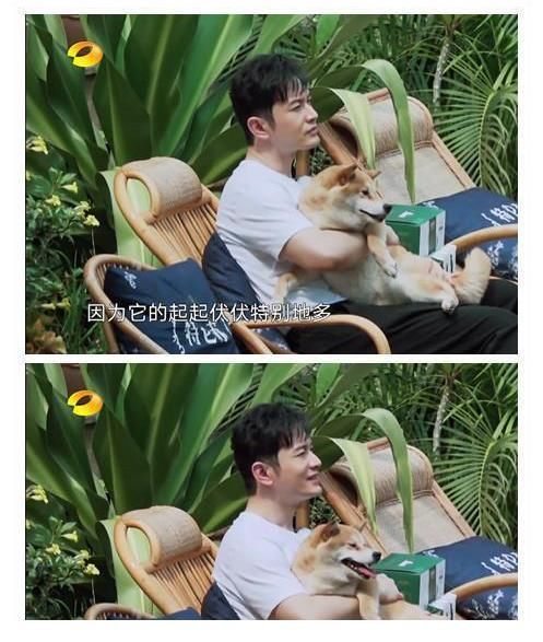 向往的生活4|黄晓明和黄磊在《向往的生活》疑似鼓励肖战，何炅一句话都没说