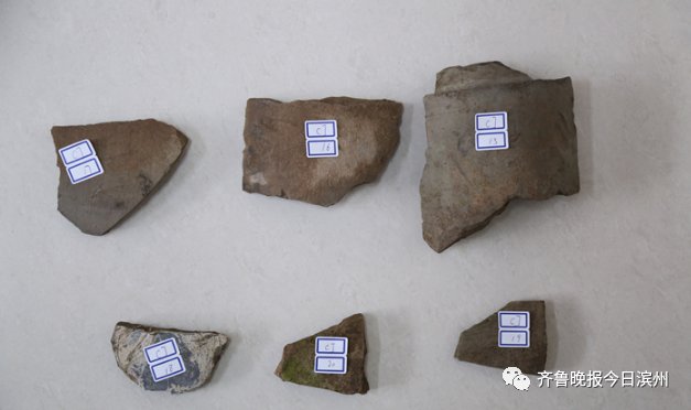 考古勘探|信息量很大!滨州这里竟藏着晚唐至宋时期的一座大型城市