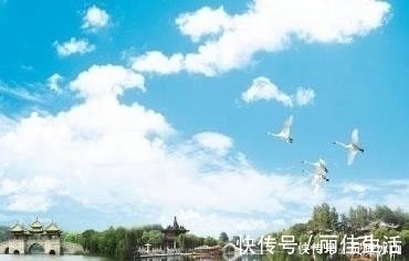 古诗词#十五首描写小草的古诗词,为君闲暇助兴,茶余饭后解闷