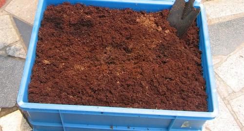 新人花友：养花怎么选土，预防土壤板结？加它们！