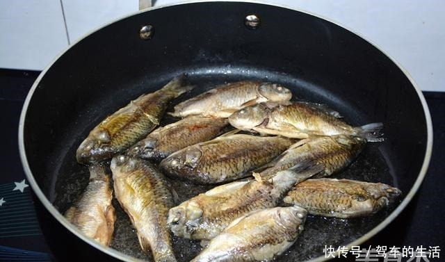 被人“误解”最深的鱼,浑身是宝,比草鱼营养,6元1斤却没人吃!