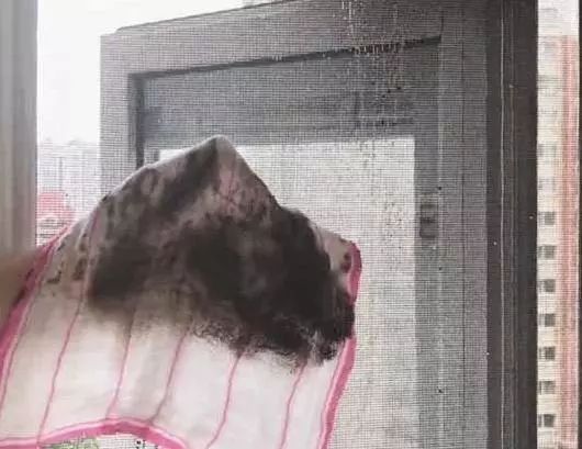 窗户纱窗太“脏”，难清洗不用拆洗，只需一张报纸，干净不费劲