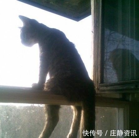 |笑话段子:小伙子用一句话,结束了我的相亲之旅……