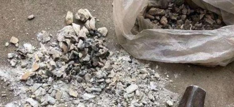 大爷养花20年,只用3种生活“垃圾”养花,不烂根黄叶,养啥都旺