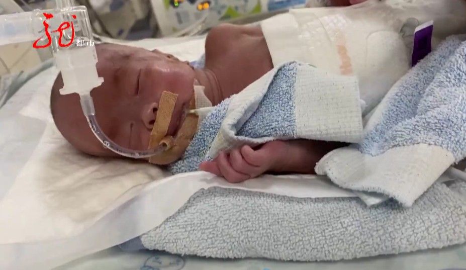 绥棱县|龙凤胎早产，哥哥不足3斤，妹妹890克！孩子父亲落泪：“砸锅卖铁也要救”！