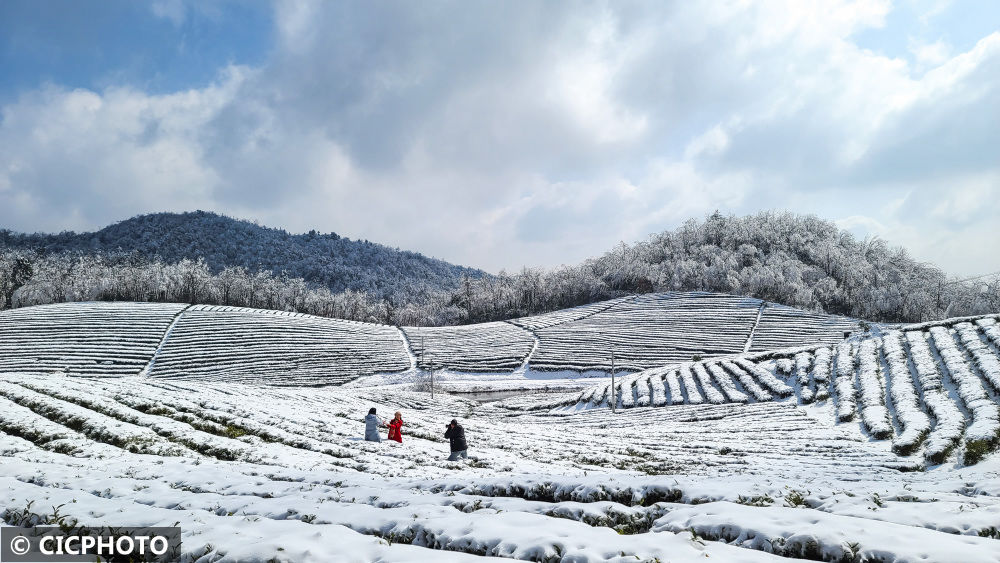 天子山景区|湖南张家界：雪后景美如画