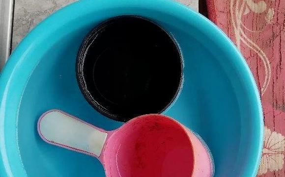 初春养花,把控住这3方面,可免植物被冻坏、被害虫蛰伤