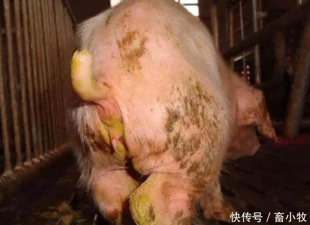 自愿助残服务优异事例 杭州市上城区弯湾保管中心《弯湾爱日子社会交融同享体项目