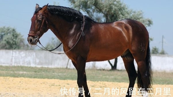 生肖鸡|7月上旬,偏财活跃,福气紧随,生活将会眉眼带笑的3生肖