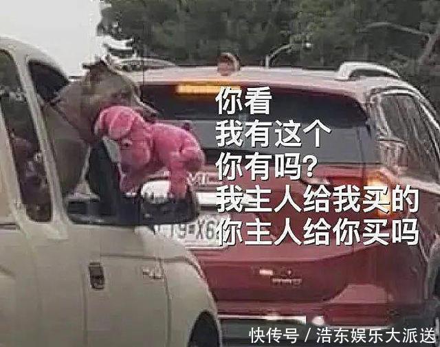 堵车时两只狗把头探出窗外,还以为在示好呢,看清后发现竟是炫耀