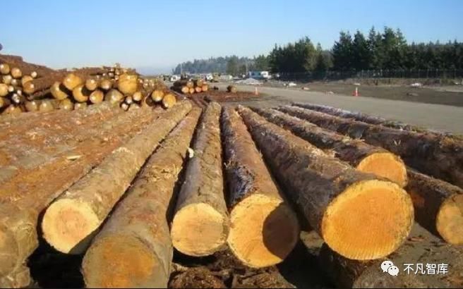 黄金|曾一木难求堪比黄金的红木，今陷入低迷，6成厂商扬言没钱赚？