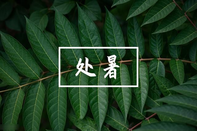 常吃|明日处暑，记得给家人常吃这“4道菜”，顺应时节，安稳入秋