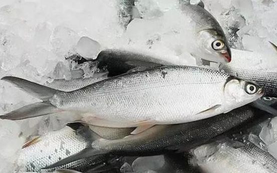 主妇|冰箱里打死都“不能放”的食物,大多数主妇还不注意,吃了有危害