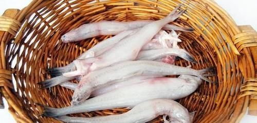 便宜|这5种便宜海鱼,老渔民最爱吃,常被人嫌弃,却不知道营养很丰富