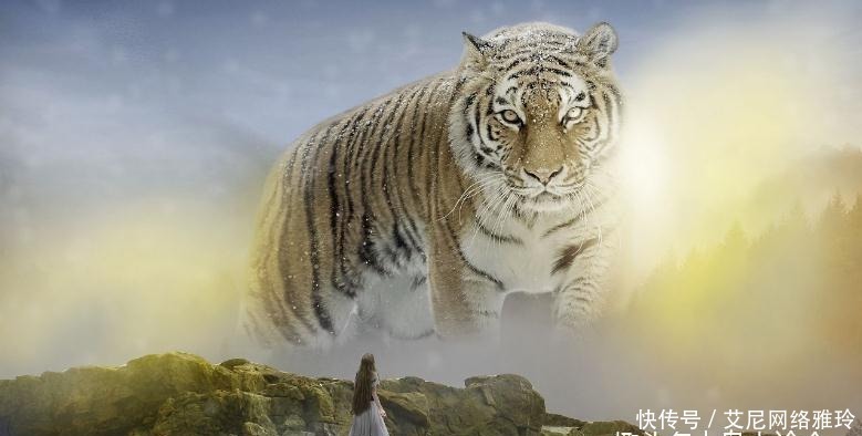 成语为虎作伥由来唐穆宗时期,为什么古人