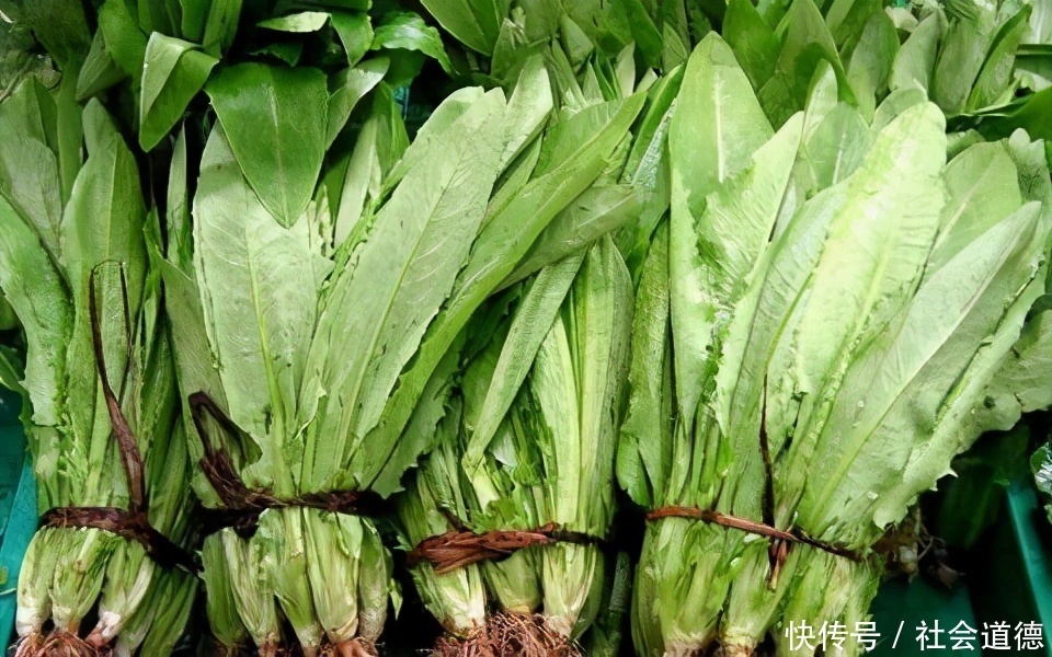 明目|养生价值极高的食物,有利于肝脏健康,益