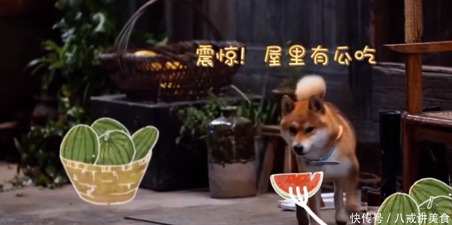 张子枫 杨紫参加《向往的生活》,三个细节打破与张艺兴的恋情绯闻