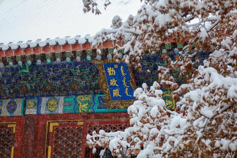 北京青年|时隔12年！香山再现“雪缀红叶”美景