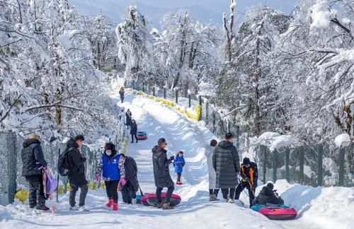 春节7天四川共接待游客超4000万 “就地过年”激发夜游、公园、演艺等新消费热点